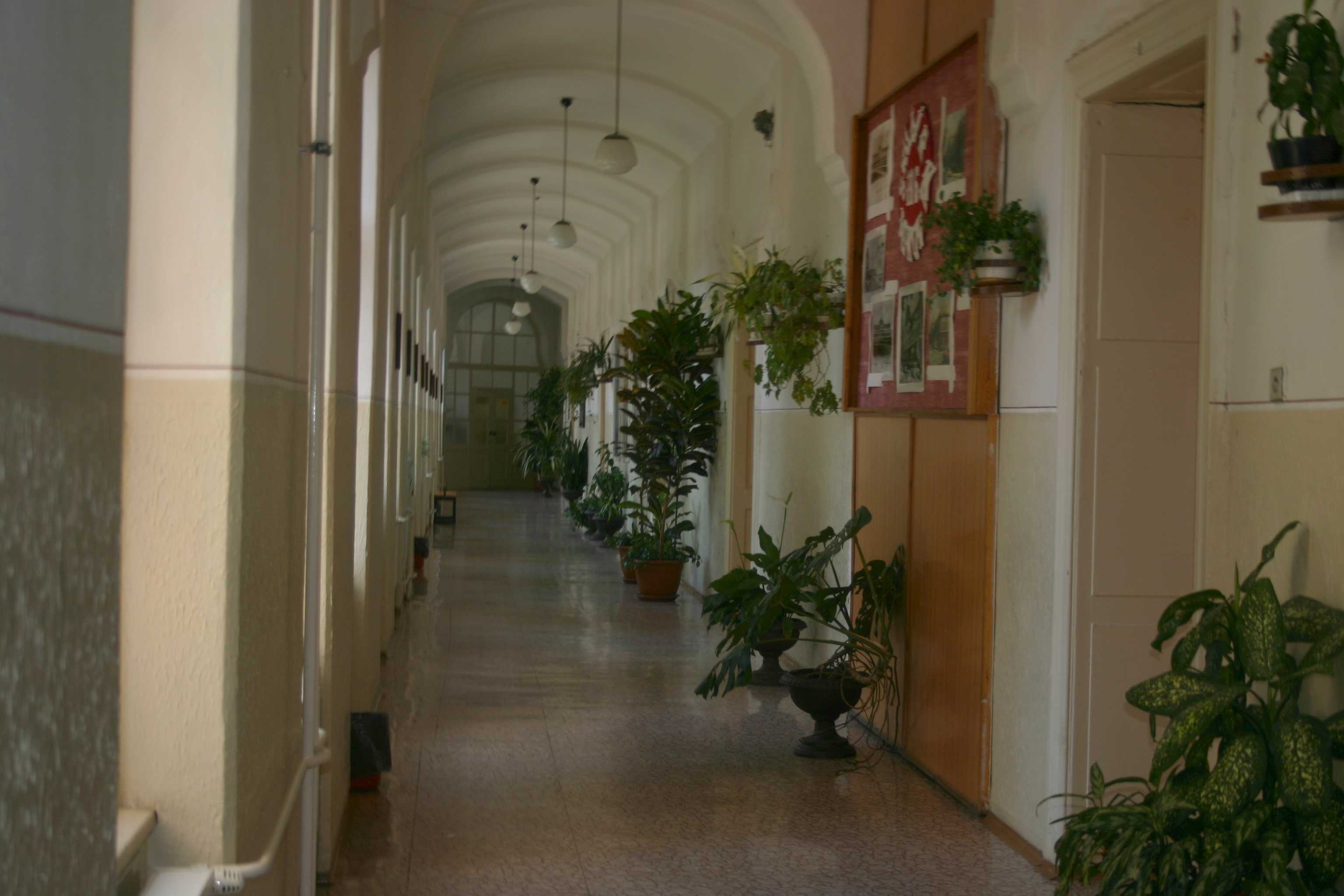 skola13.jpg